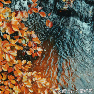 《四幕戏》语录摘抄大全