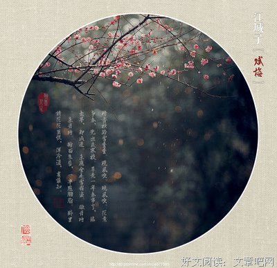 《江城子》语录摘抄大全