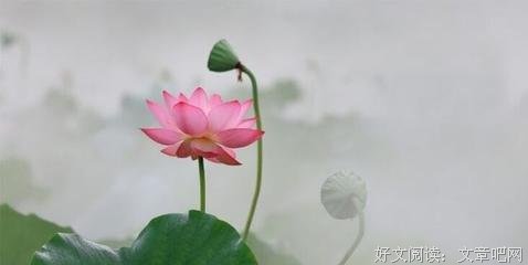 最经典的《清醒纪》经典名句大全