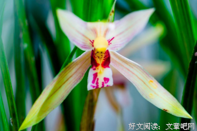爱情是最不靠谱的东西