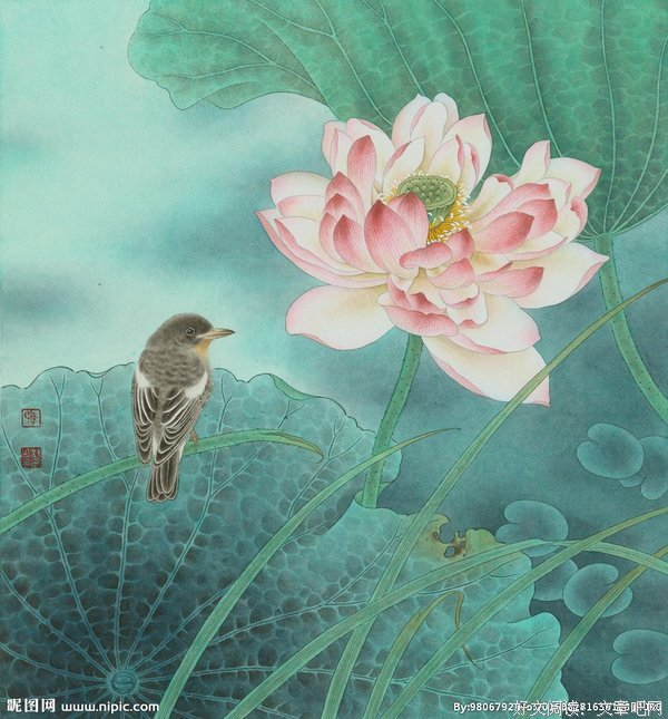 最全的《花解语》名句欣赏