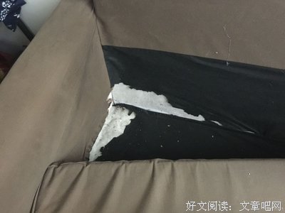 宜家推出一个组装沙发的功能，差点被网友们玩坏...