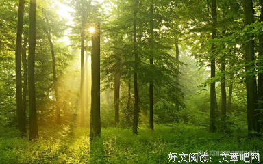 江春的名人名言