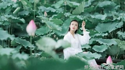 人生，就是一个坑！
