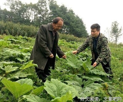 若非此生而实目生风风里为、路不成物孩怎得想海角去也他涯、终其