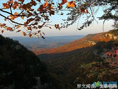关于遇见……的优美句子