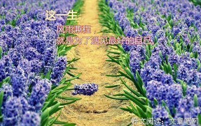 关于只是爱你的优美句子