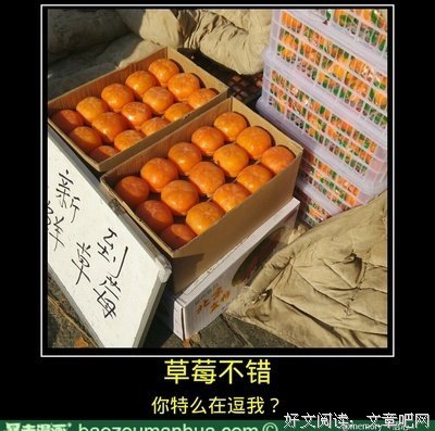 悟心好词好句