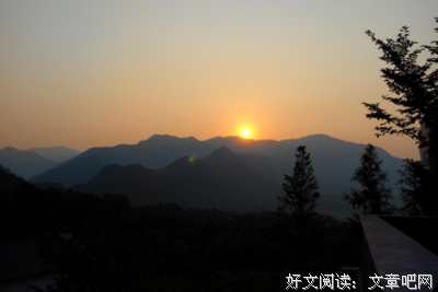 鸟乘风飞