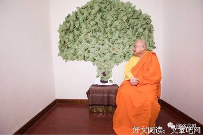 关于谢可慧精彩语录