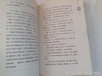 最全的《长安乱》小说摘抄