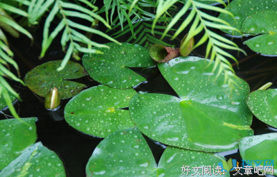 《青慕集》佳句摘抄