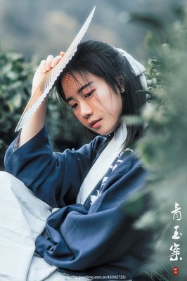 最全的《青玉案》小说书摘