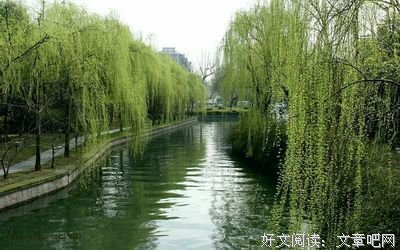最新的《鹧鸪天》名句欣赏大全