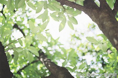 最经典的《一世之尊》名句欣赏