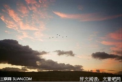 最新的《一触即发》经典语录大全
