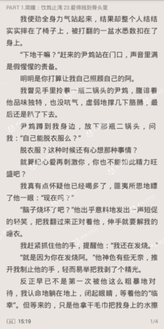 《九重恩怨》小说摘抄
