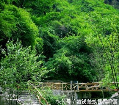 最全的《倾尽天下》好段摘抄