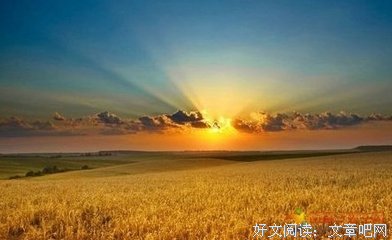 《傅雷家书》佳句摘抄