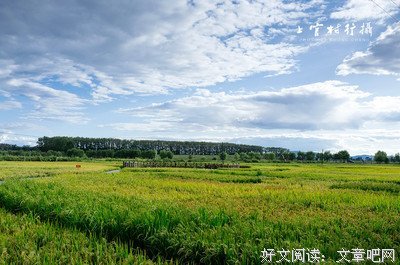 关于宁安的语句