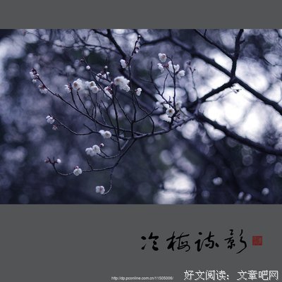 描写冷梅的经典句子