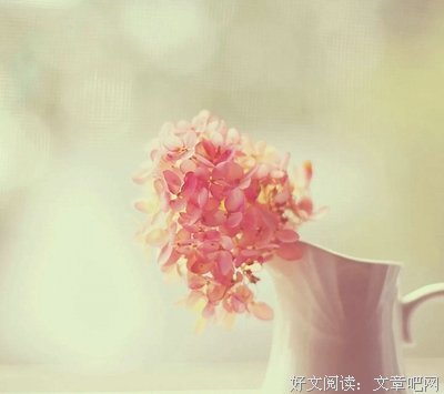 有关张小娴的美句摘抄