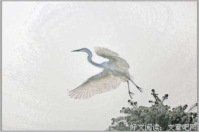 关于清玉的名言