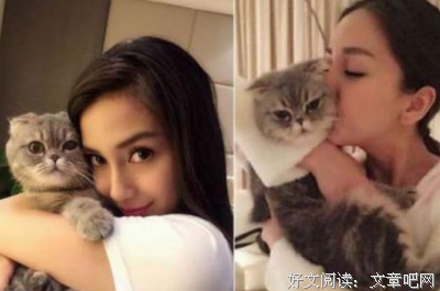 折耳经典的句子