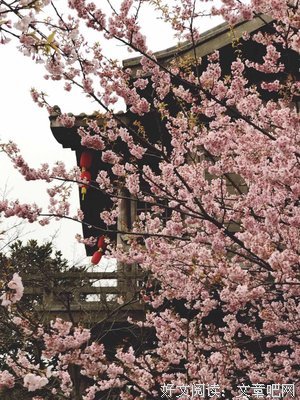 刹却地下风没风没那芳华句子