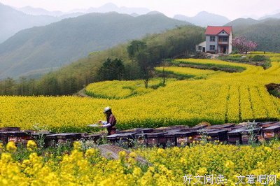 有关慕容素衣名言