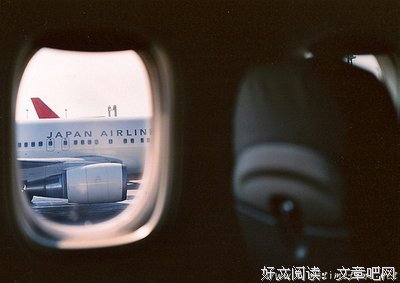 关心则乱经典语录