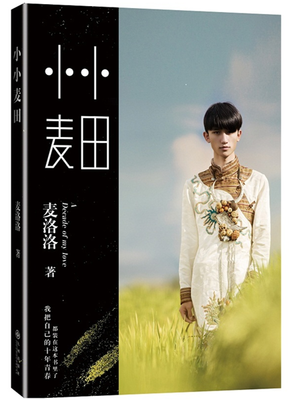 最经典的《小小麦田》经典语录