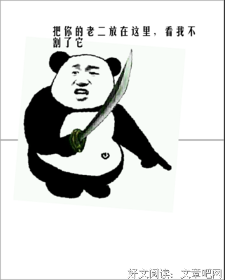 最新的《废后将军》语录摘抄