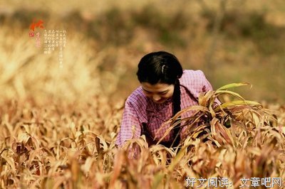 烦恼源于计较，幸福从不比较
