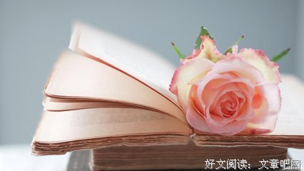 最经典的《心语馨音》语录摘抄大全