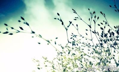 最新的《我与地坛》佳句摘抄大全