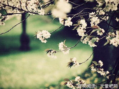 《暮光之城》小说句子