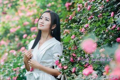 最全的《梦落芳华》小说摘抄大全