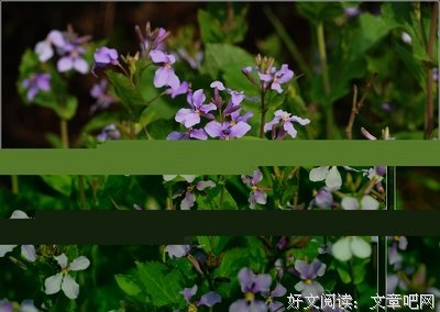 《水不暖月》语录摘抄