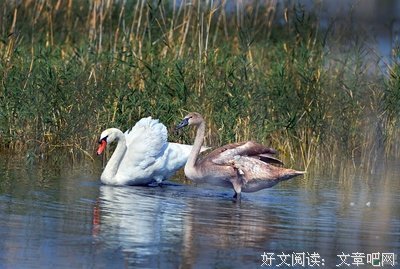 在吗 有一点想你