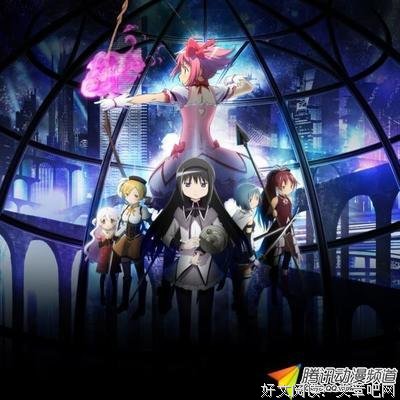 最全的《犬附少女》经典名句大全