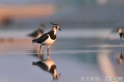郭辉 | 那里面住着的神，平视人间