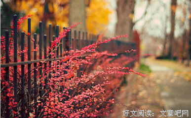 如何与巨蟹座做朋友