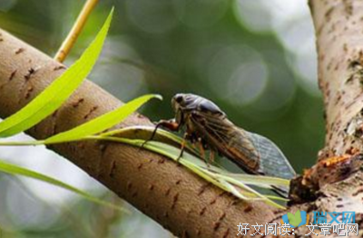 有些有人，是地也说把变物后懂的人听的句子