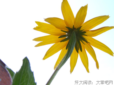 偶遇的句子