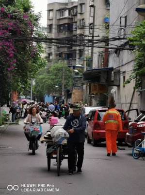 抚琴的人名言大全