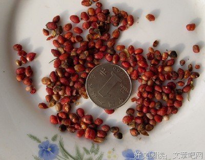 关于明开夜合名言警句