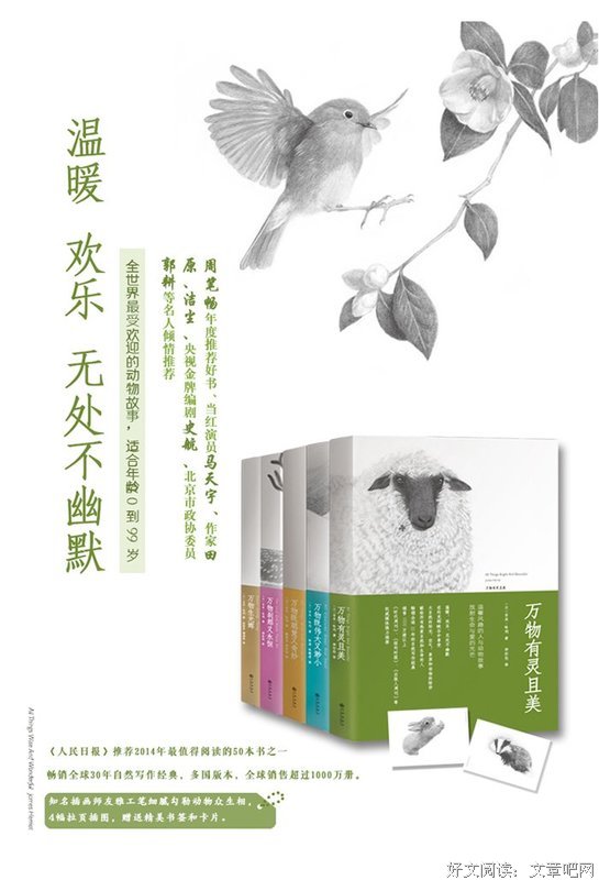 吉米·哈利名言大全