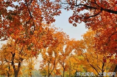 关于秋容胡酒精彩语录