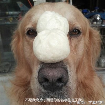 最经典的《神雕侠侣》经典名句